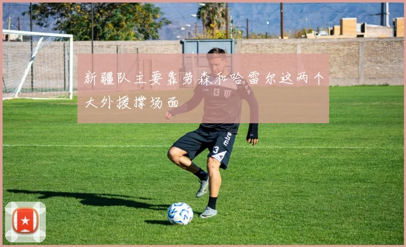 新疆队主要靠劳森和哈雷尔这两个大外援撑场面