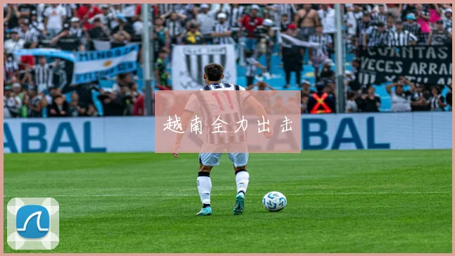越南全力出击