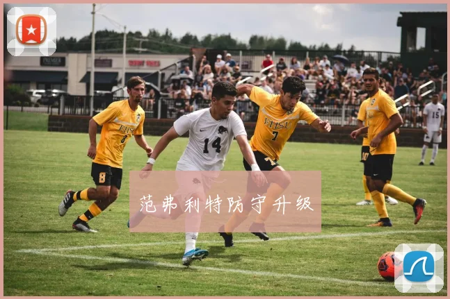 范弗利特防守升级