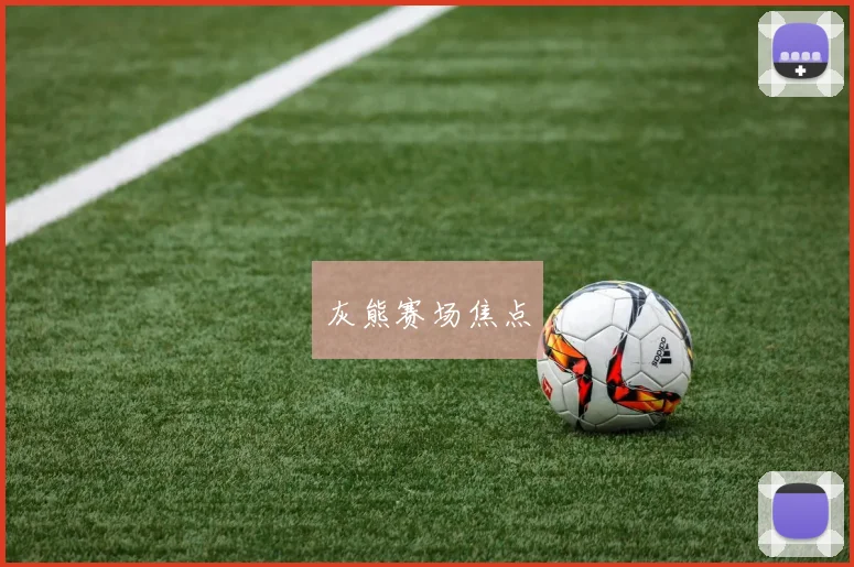 灰熊赛场焦点