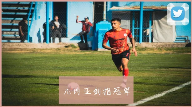 几内亚剑指冠军