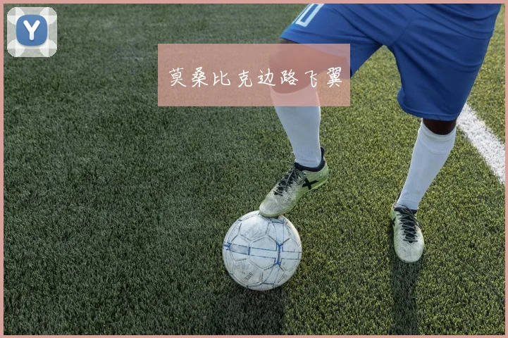 莫桑比克边路飞翼