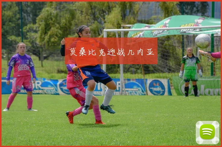 莫桑比克迎战几内亚