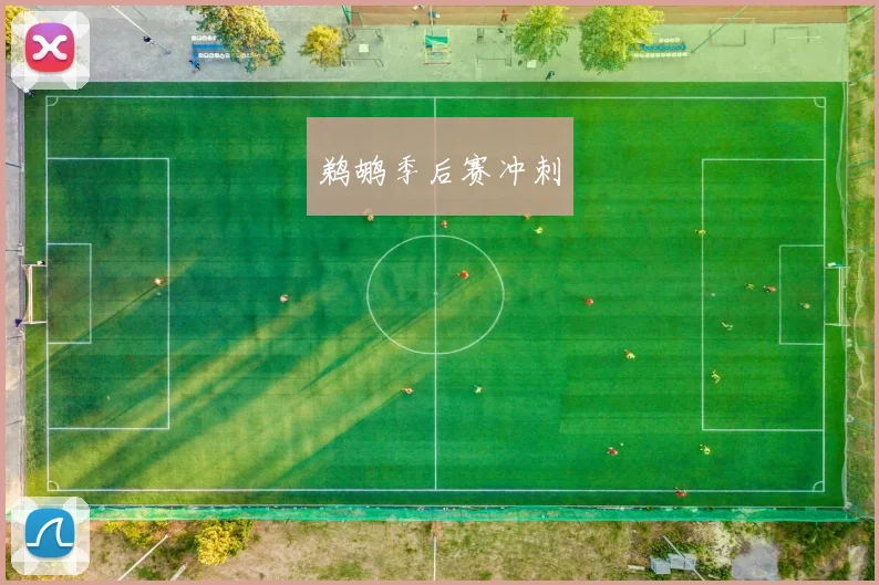 鹈鹕季后赛冲刺
