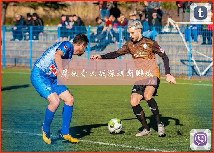 摩纳哥大战深圳新鹏城