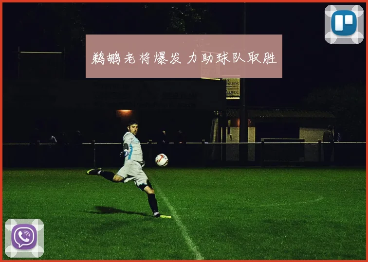 鹈鹕老将爆发力助球队取胜