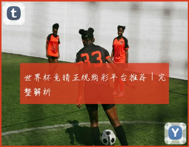 世界杯竞猜正规购彩平台推荐｜完整解析
