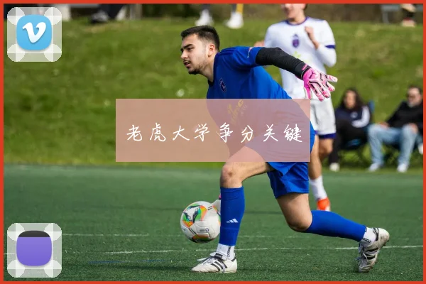 老虎大学争分关键