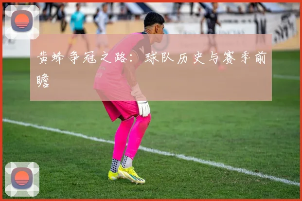 黄蜂争冠之路：球队历史与赛季前瞻