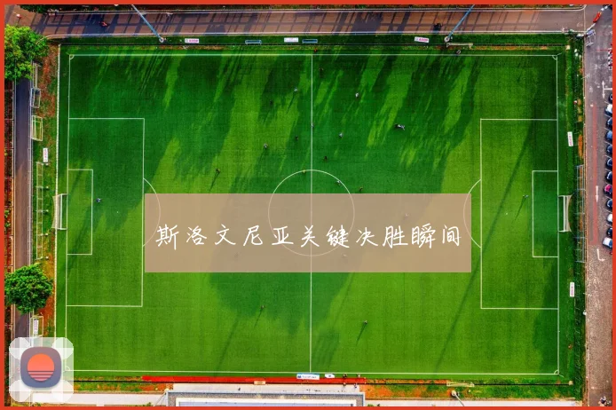 斯洛文尼亚关键决胜瞬间