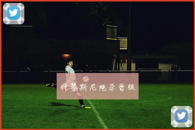什琴斯尼绝杀晋级