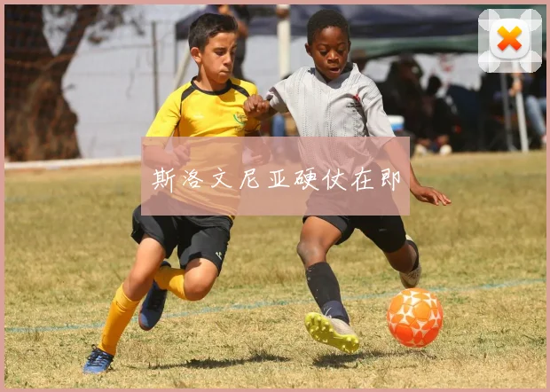 斯洛文尼亚硬仗在即