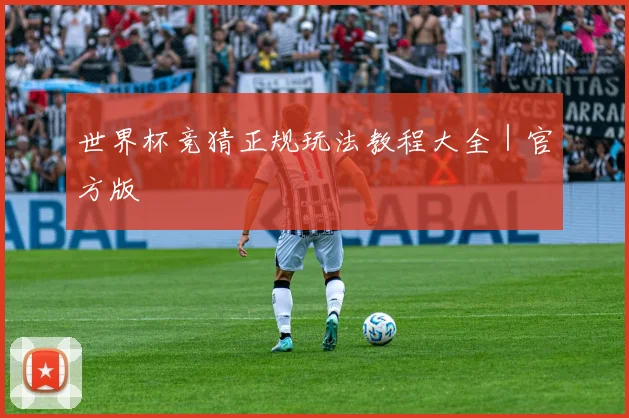 世界杯竞猜正规玩法教程大全｜官方版