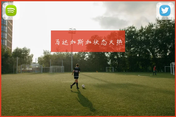 马达加斯加状态火热