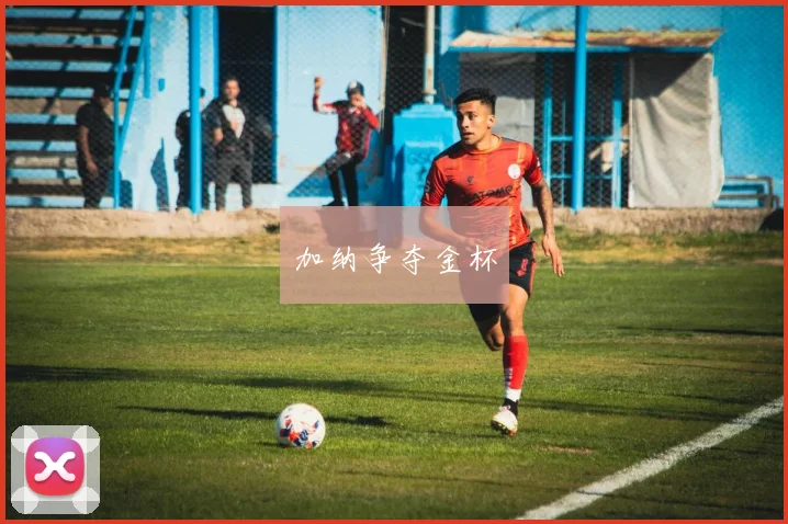 加纳争夺金杯