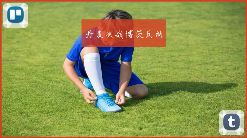 丹麦决战博茨瓦纳