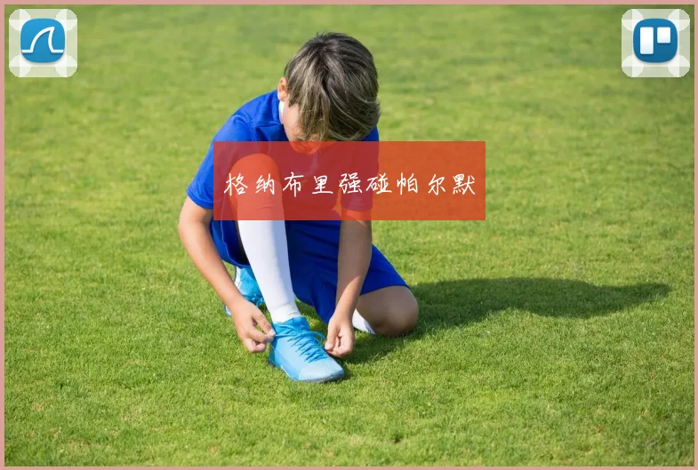 格纳布里强碰帕尔默