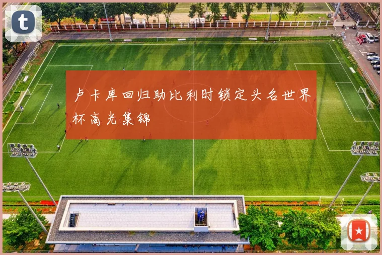 卢卡库回归助比利时锁定头名世界杯高光集锦