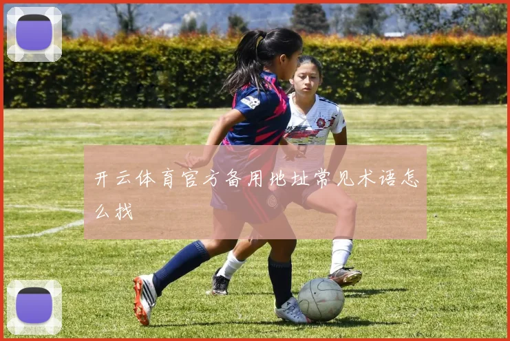 开云体育官方备用地址常见术语怎么找