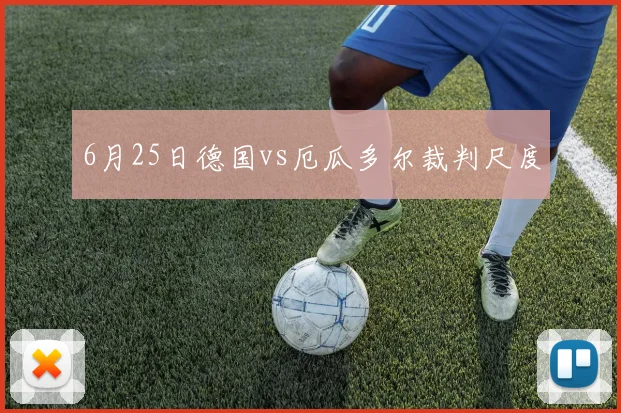 6月25日德国vs厄瓜多尔裁判尺度