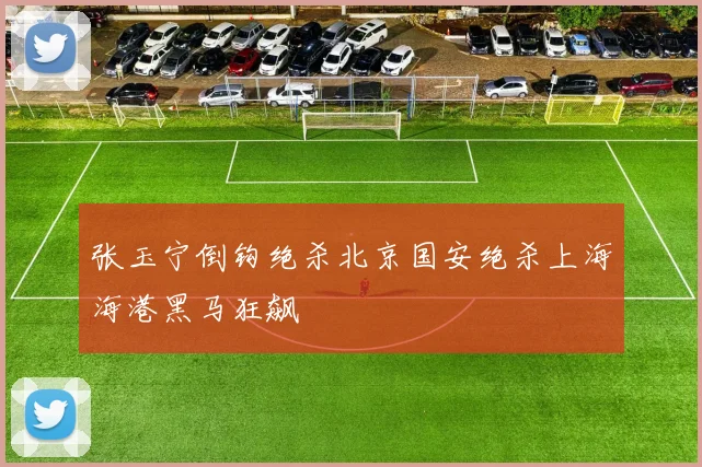 张玉宁倒钩绝杀北京国安绝杀上海海港黑马狂飙