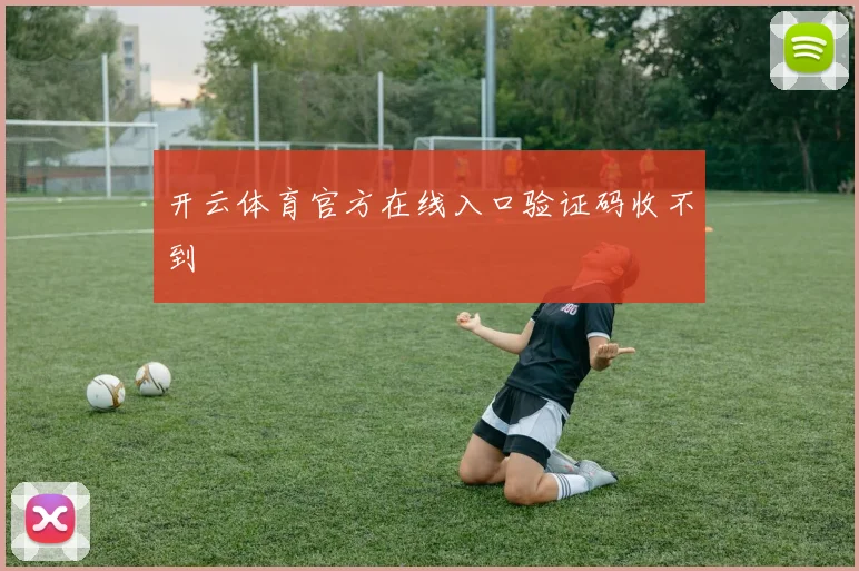 开云体育官方在线入口验证码收不到
