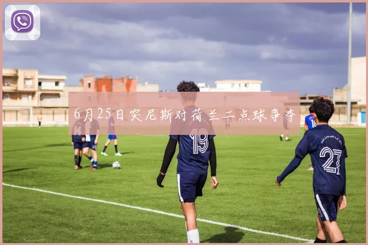 6月25日突尼斯对荷兰二点球争夺