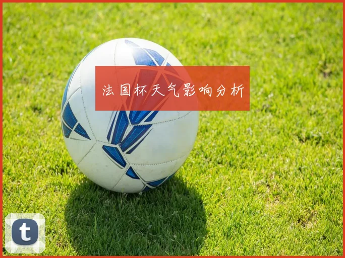 法国杯天气影响分析